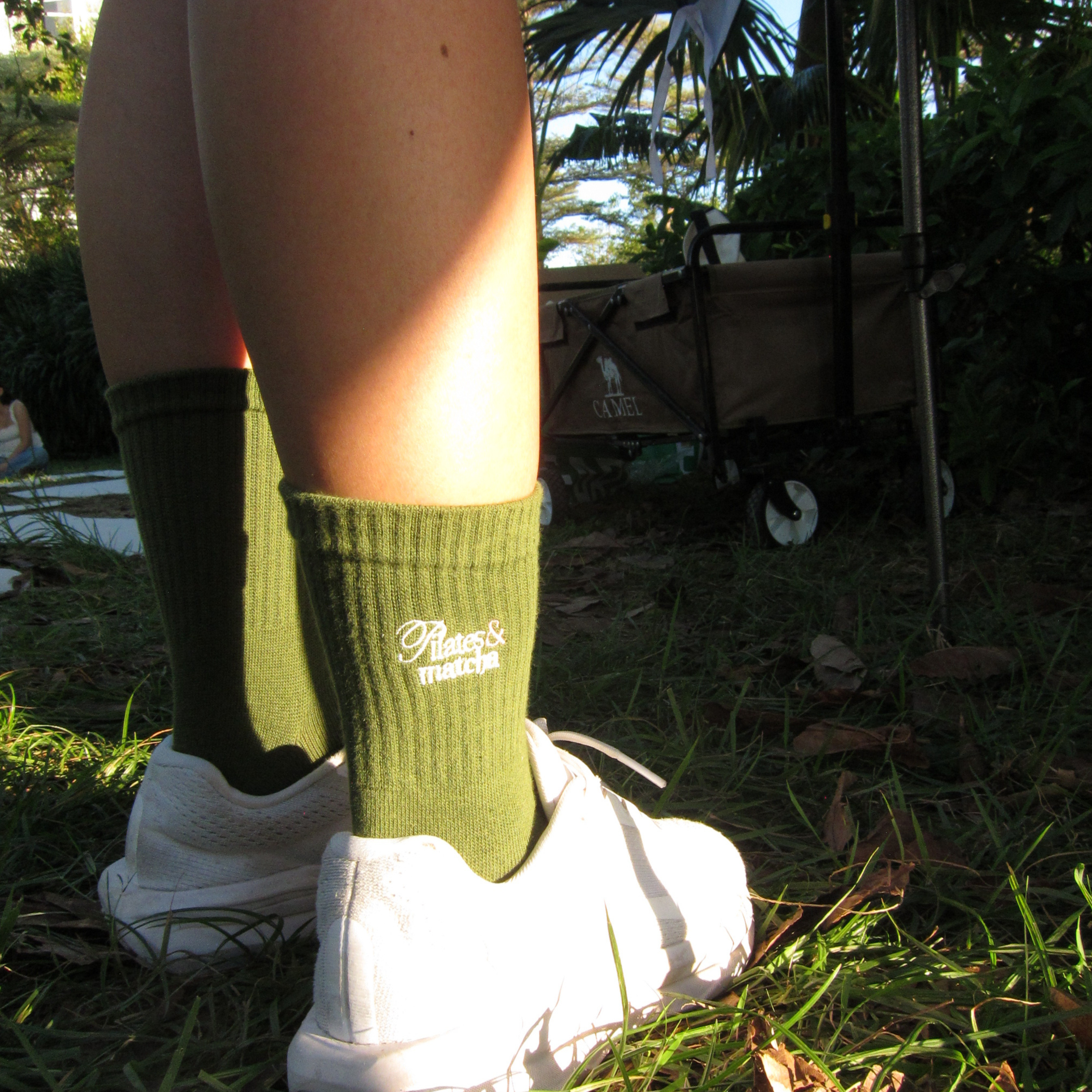 Whispers of the Forest