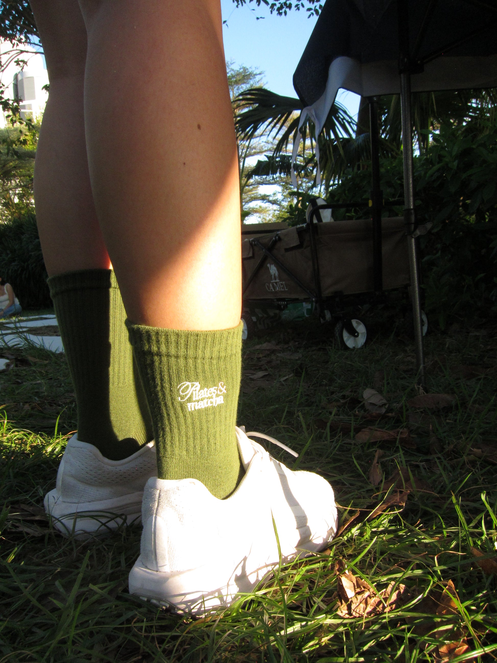 Whispers of the Forest